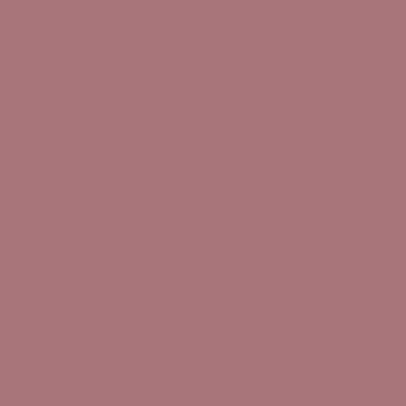Primer & Undercoat Plant-Based MS - Dark Red
