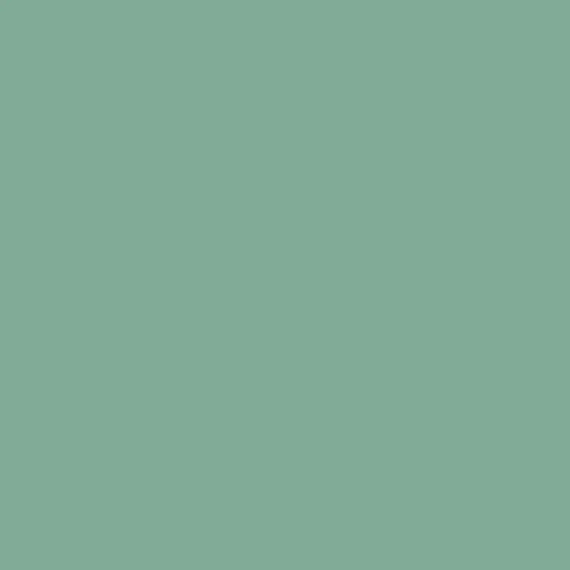 Wall Primer & Undercoat Olive Stone - Green