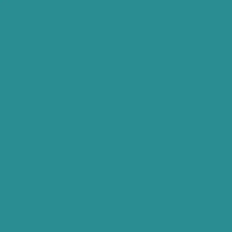 Wall Primer & Undercoat Pro Trade - Turquoise
