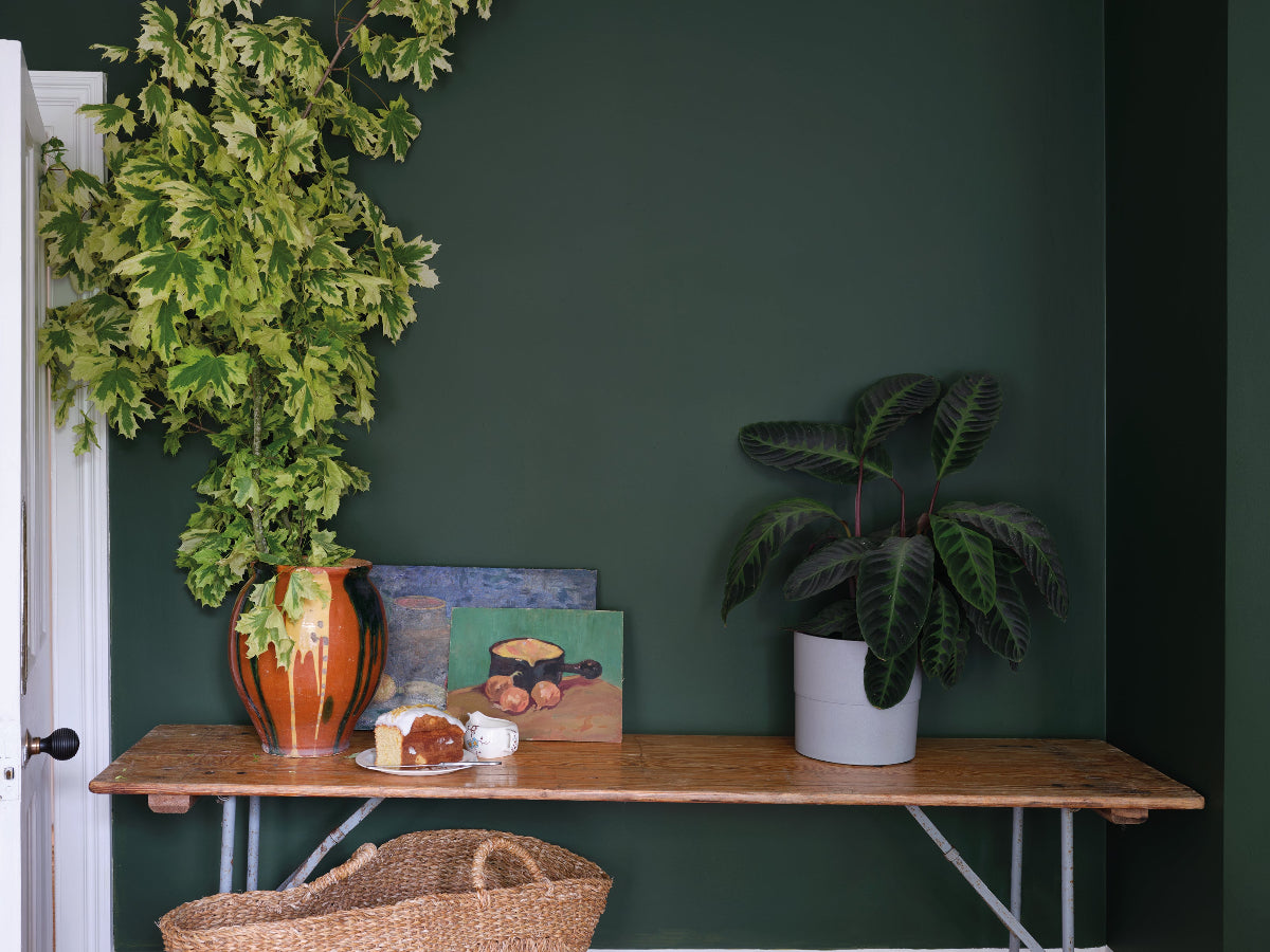 Duck Green No. W55