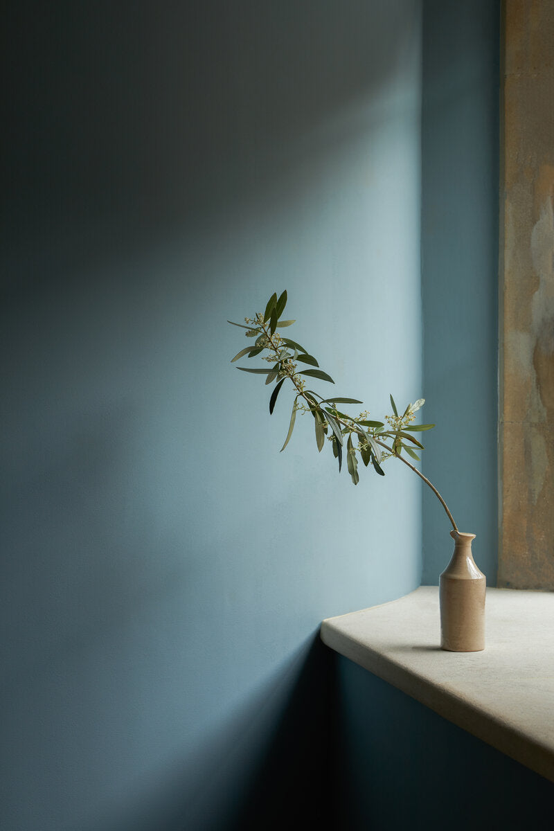 Olive Stone Emulsion Paint | Mylands