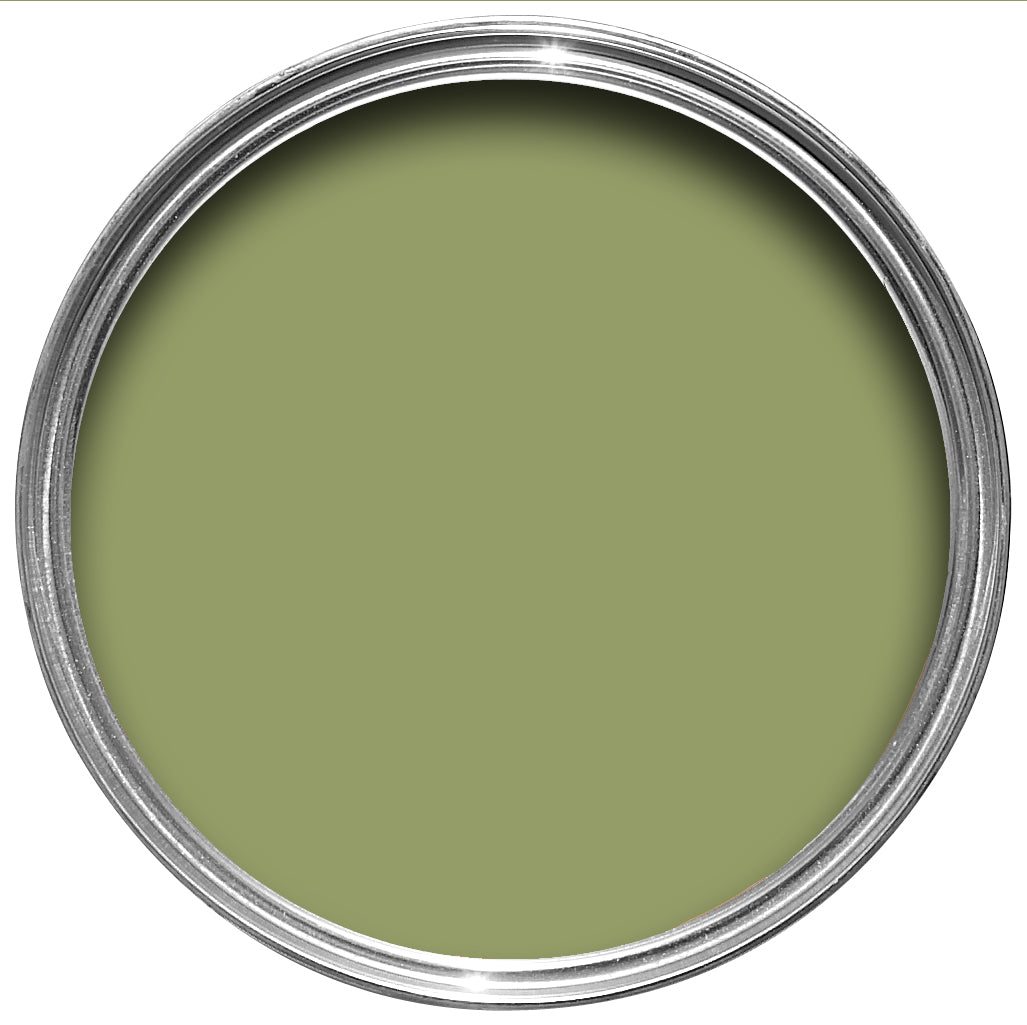 Olive No. 13