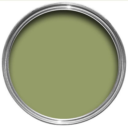 Olive No. 13