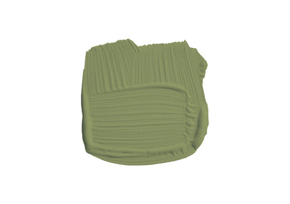 Olive No. 13